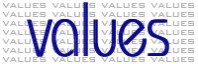 Our Values